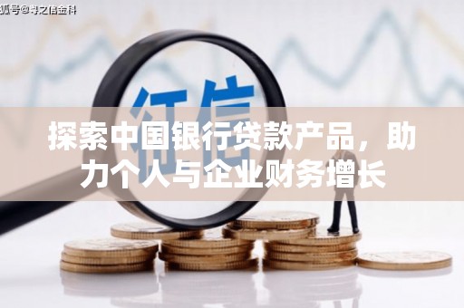 新田探索中国银行贷款产品，助力个人与企业财务增长