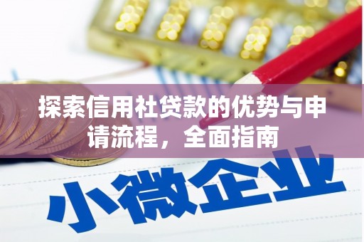 新田探索信用社贷款的优势与申请流程，全面指南