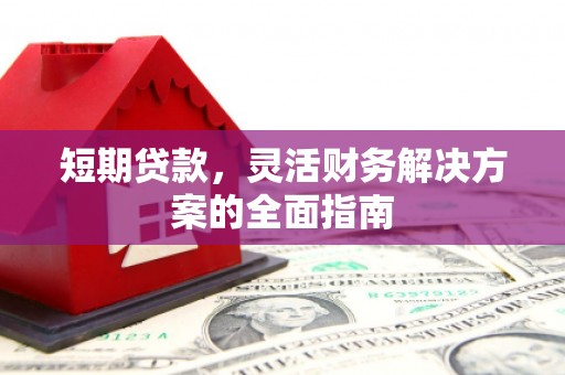 新田短期贷款，灵活财务解决方案的全面指南