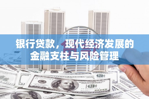 新田银行贷款，现代经济发展的金融支柱与风险管理