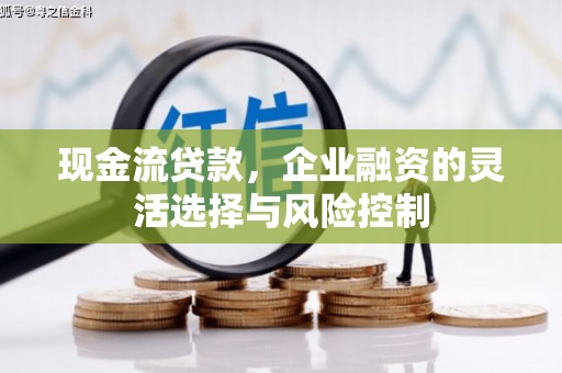 新田现金流贷款，企业融资的灵活选择与风险控制