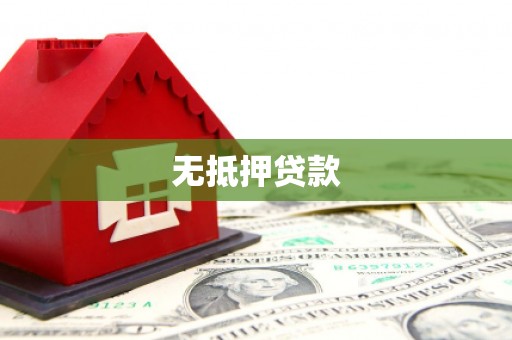 新田无抵押贷款