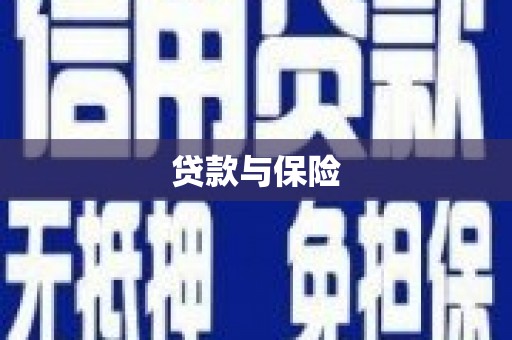 新田贷款与保险