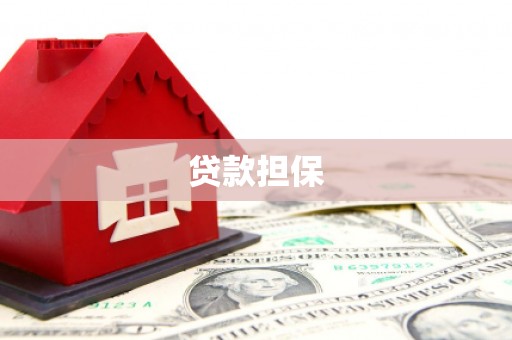 新田贷款担保