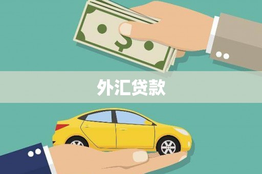 新田外汇贷款