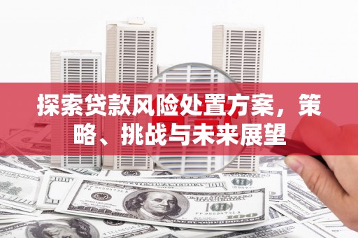 新田探索贷款风险处置方案，策略、挑战与未来展望