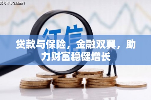 新田贷款与保险，金融双翼，助力财富稳健增长