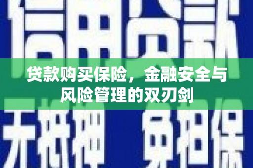 新田贷款购买保险，金融安全与风险管理的双刃剑