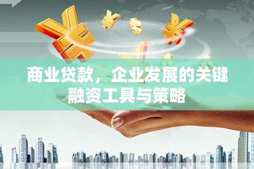 新田商业贷款，企业发展的关键融资工具与策略