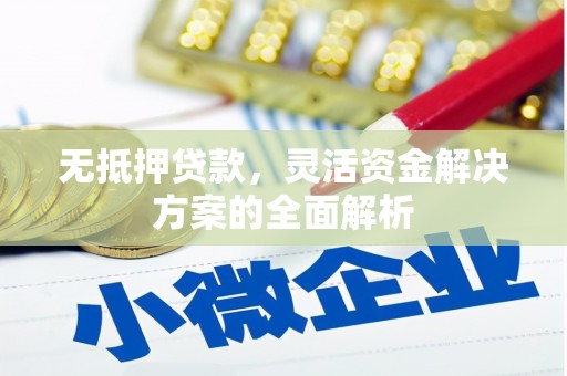 新田无抵押贷款，灵活资金解决方案的全面解析