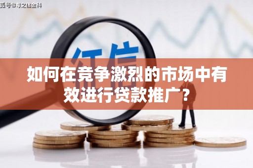 新田如何在竞争激烈的市场中有效进行贷款推广？