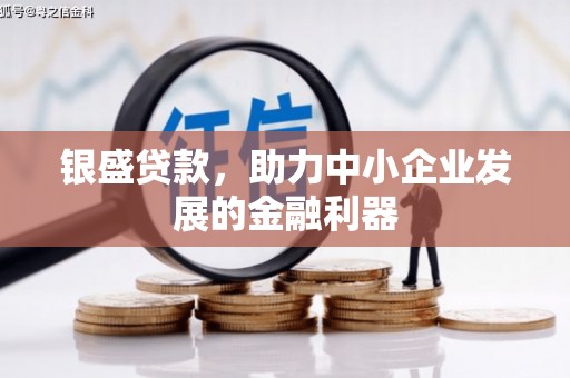 新田银盛贷款，助力中小企业发展的金融利器