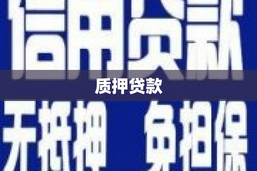 新田质押贷款