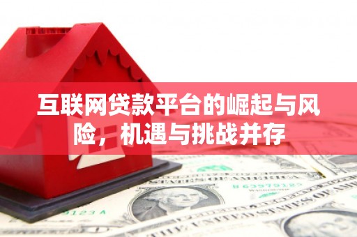 新田互联网贷款平台的崛起与风险，机遇与挑战并存