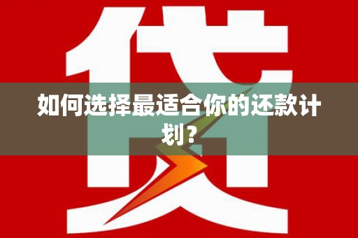 新田如何选择最适合你的还款计划？