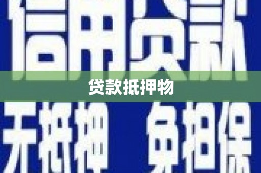 新田贷款抵押物