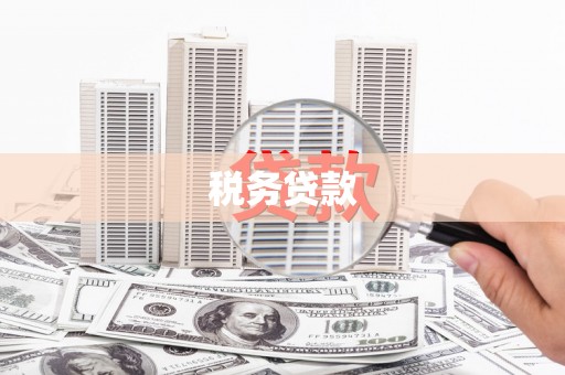 新田税务贷款