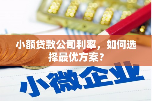 新田小额贷款公司利率，如何选择最优方案？