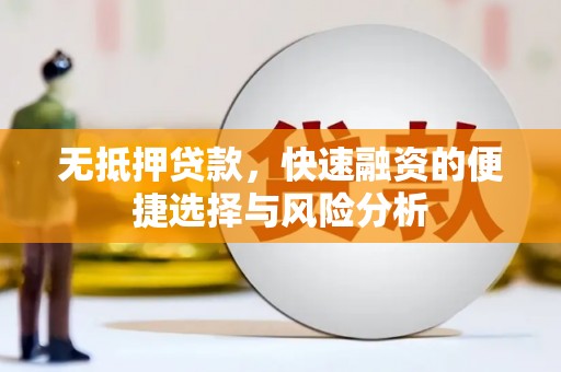 新田无抵押贷款，快速融资的便捷选择与风险分析