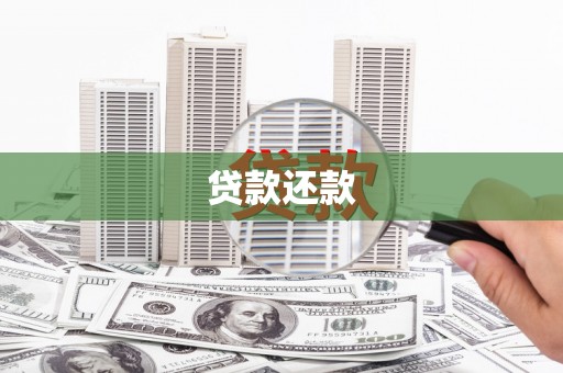 新田贷款还款