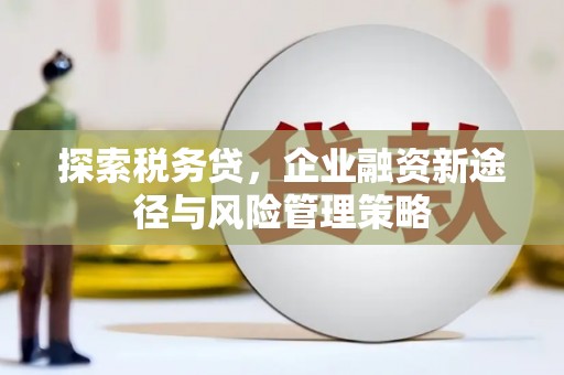 新田探索税务贷，企业融资新途径与风险管理策略