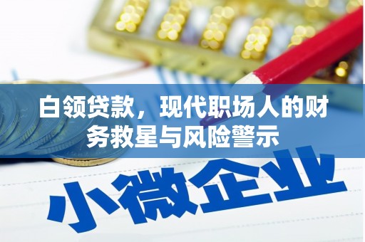 新田白领贷款，现代职场人的财务救星与风险警示