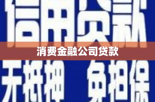 新田消费金融公司贷款