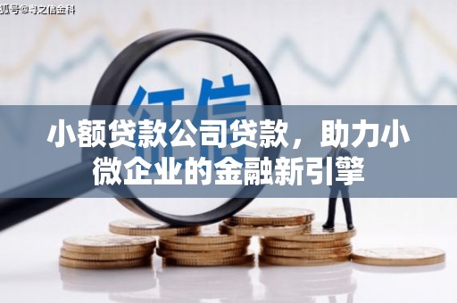 新田小额贷款公司贷款，助力小微企业的金融新引擎