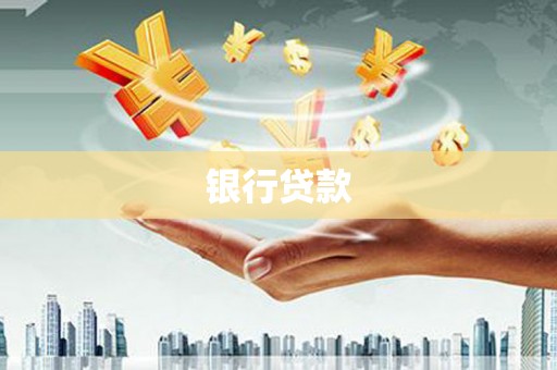 新田银行贷款