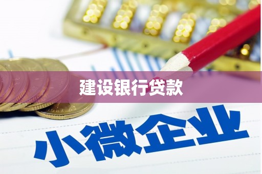 新田建设银行贷款