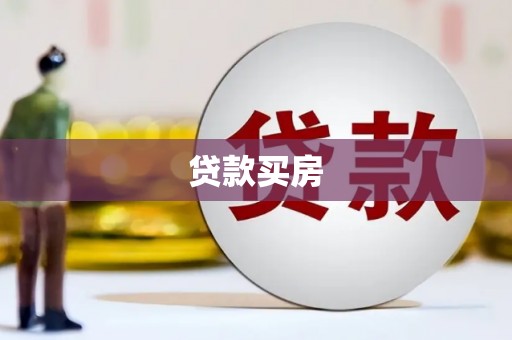 新田贷款买房