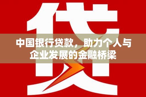 新田中国银行贷款，助力个人与企业发展的金融桥梁