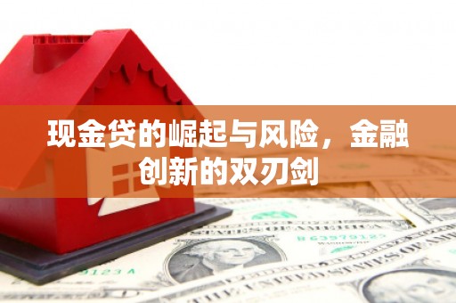 新田现金贷的崛起与风险，金融创新的双刃剑