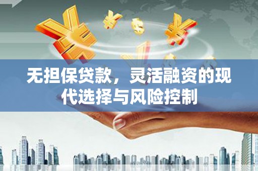 新田无担保贷款，灵活融资的现代选择与风险控制