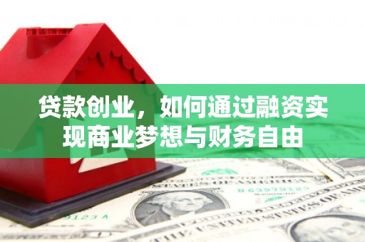 新田贷款创业，如何通过融资实现商业梦想与财务自由