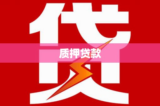 新田质押贷款