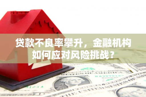 新田贷款不良率攀升，金融机构如何应对风险挑战？