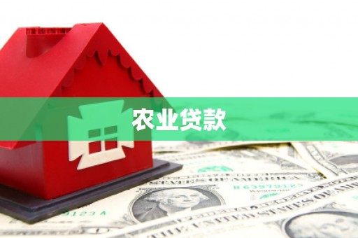 新田农业贷款