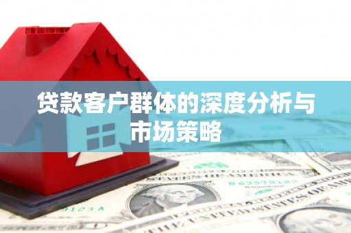 新田贷款客户群体的深度分析与市场策略