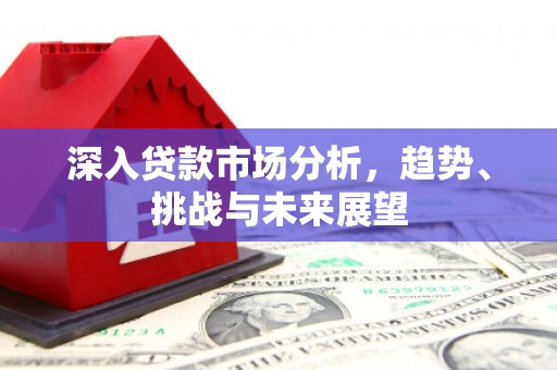 新田深入贷款市场分析，趋势、挑战与未来展望