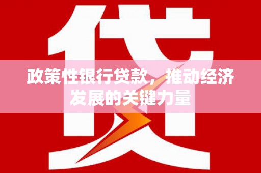 新田政策性银行贷款，推动经济发展的关键力量