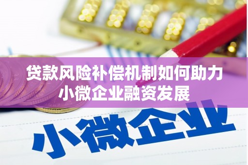 新田贷款风险补偿机制如何助力小微企业融资发展