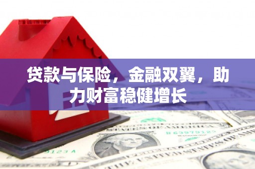 新田贷款与保险，金融双翼，助力财富稳健增长