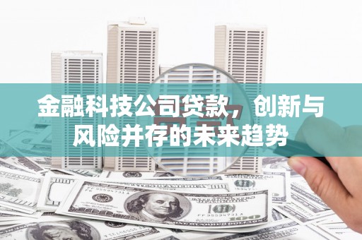 新田金融科技公司贷款，创新与风险并存的未来趋势