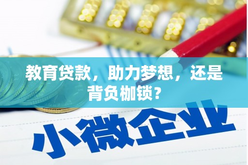 新田教育贷款，助力梦想，还是背负枷锁？