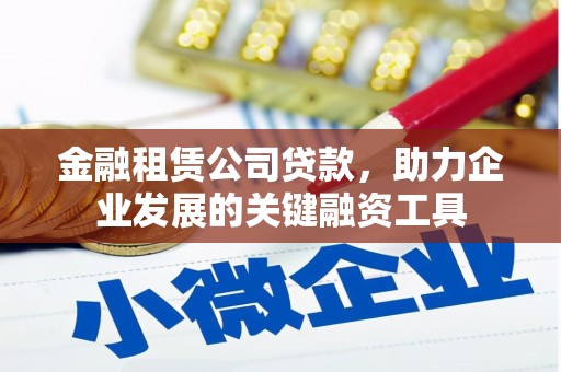新田金融租赁公司贷款，助力企业发展的关键融资工具