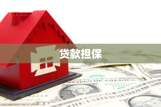 新田贷款担保