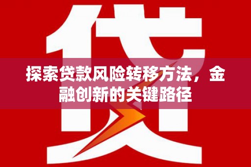 新田探索贷款风险转移方法，金融创新的关键路径