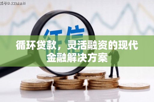 新田循环贷款，灵活融资的现代金融解决方案