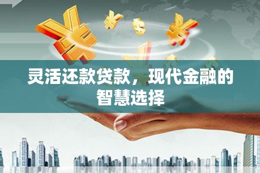 新田灵活还款贷款，现代金融的智慧选择